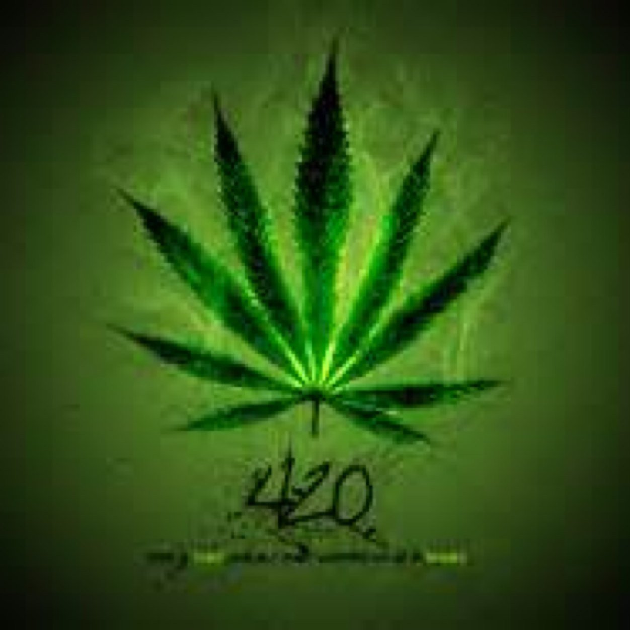 Bringing you the coolest stoner gadgets daily
@DrugSales