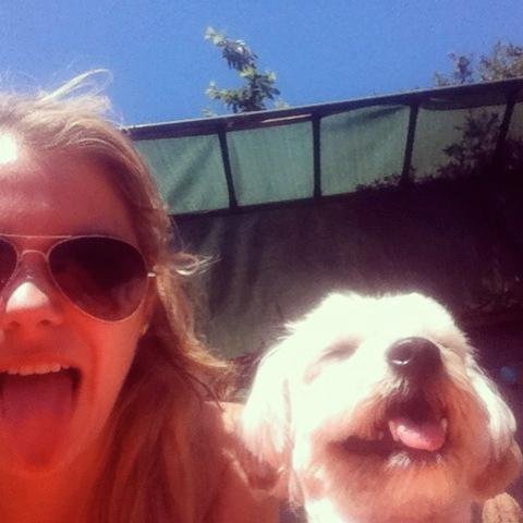 Tiffanytweeter's profile picture. Professional Communicator. Can- Write a one pager about anything. Can't- get through the day without coffee