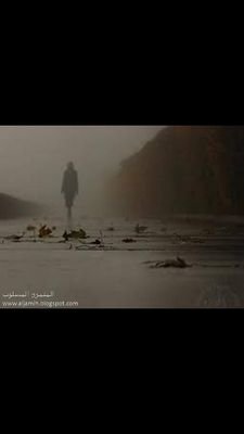 #خواطر #عبارات.     #‏ٱللهـم انصر #غزه