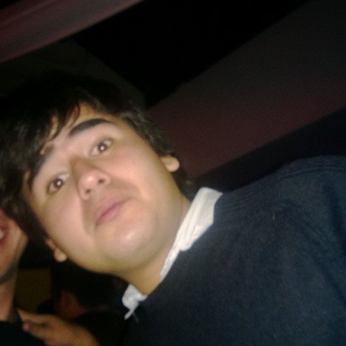 maurober_ber's profile picture. ...............