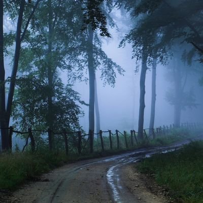 حائل _ المدينه المنوره