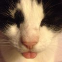 Gerald Hawthorne - @geraldhawthorn - Twitter