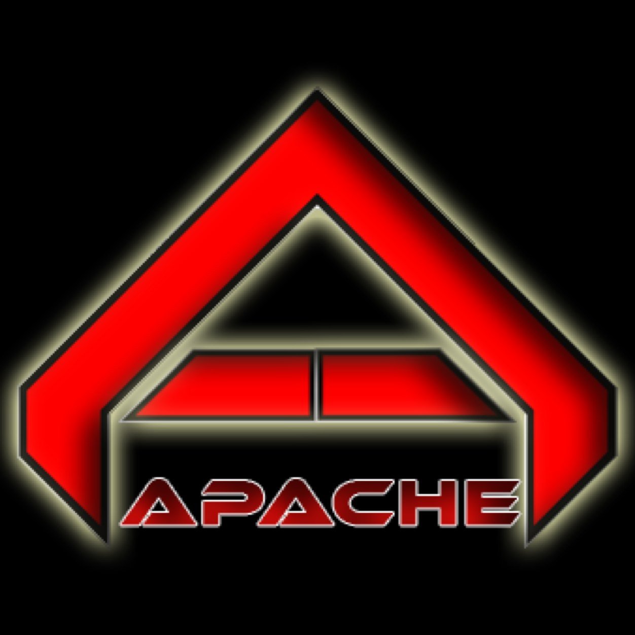 Competitive Call of Duty Org|Owner: @Delusion_MLG