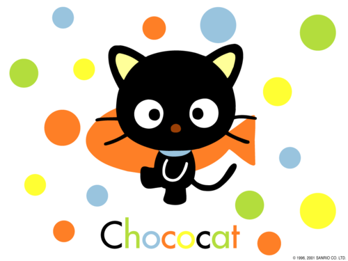 fun, funny, cat & critter luv'n, kind, curious, understanding, luvs people
