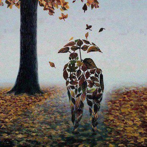 jalali_adil's profile picture. 