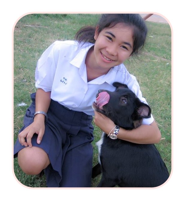 สร้างถนนสีขาว