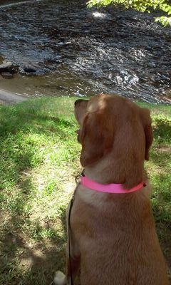 KathyKaw789's profile picture. 