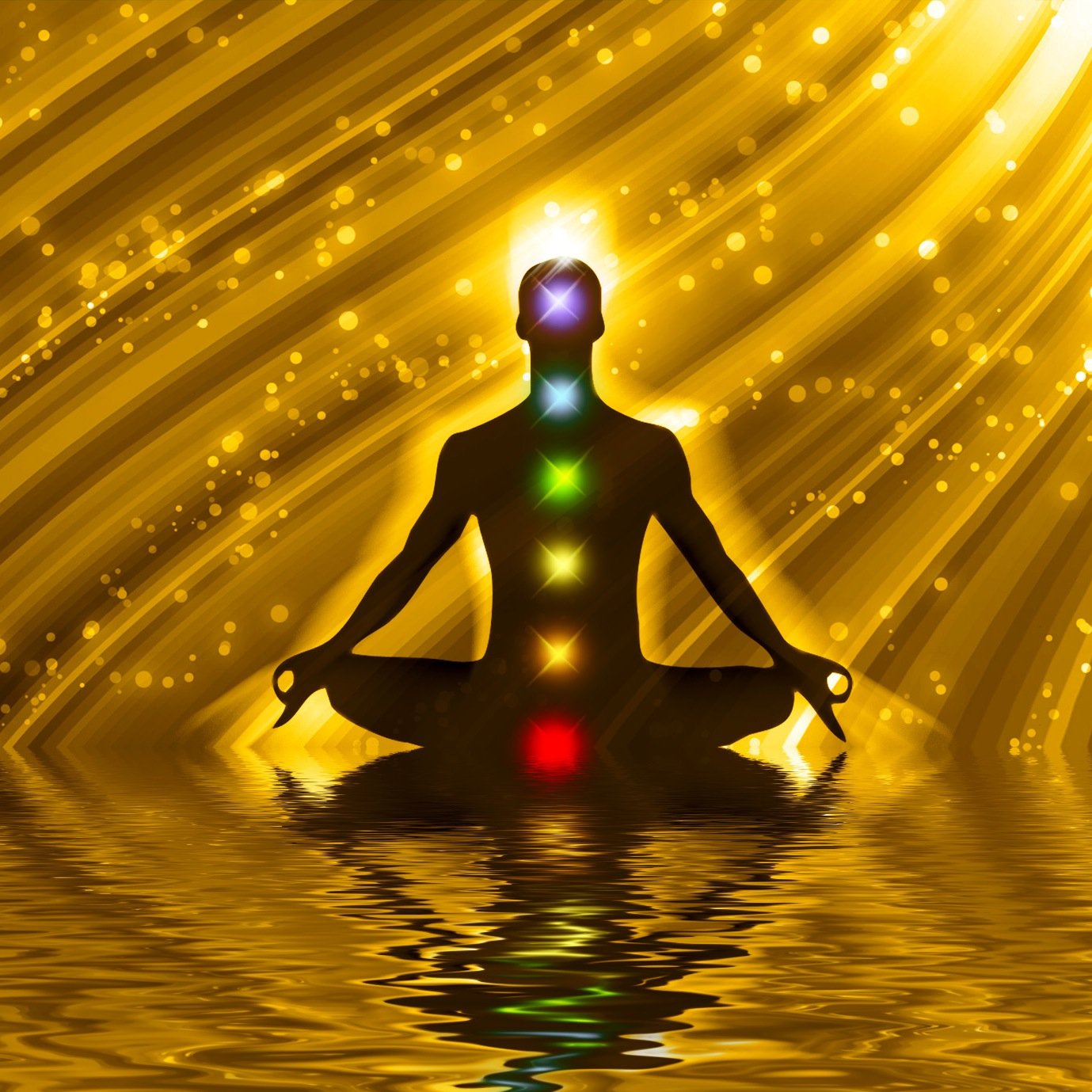 Board Certified Naturopath, Professor, Essential Oils, Green Real Estate, Affirmation Coach, Reiki Master/Teacher, Keynote Speaker