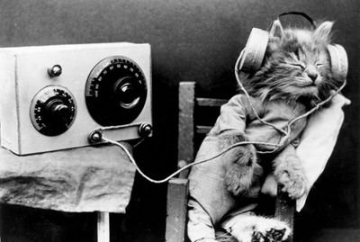 a Radio station of @olympcityclsd | You can request a song^^