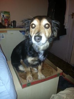 VVazzo's profile picture. 