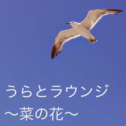 宮城県塩竈市浦戸野々島にある待合所兼コミュニティスペース『うらとラウンジ〜菜の花〜』の公式アカウントです。
浦戸諸島の四季やイベントをお伝えします。