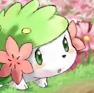 I am the Gratitude Pokémon.I would love to be a gift..
(Female, Level 35, Wild, Seed Flare, Energy Ball,Sweet Scent, and Leaf Storm.)