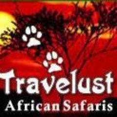 We offer unique gorilla safaris and trekking holidays, offering high end professional safaris as well as mid range standard tours in Uganda and Rwanda.