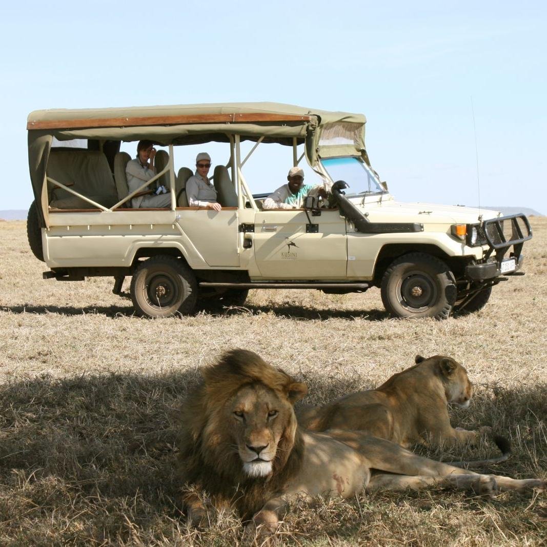 Flying Zone Travel & Tours Limited is a registered company under the Tanzania laws to operate in Travel,Tour Guiding,care hire,Hotel Reservations industry.