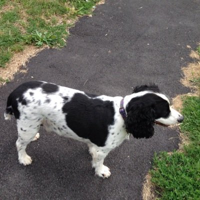 JoHunt2's profile picture. A lady on a mission to pay off a mortgage early. Workaholic and moneysaver.