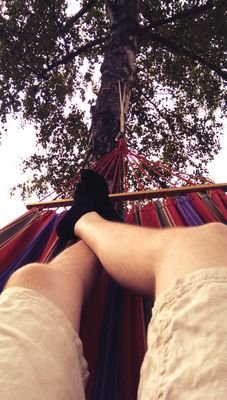 bulio13's profile picture. #SVS1916 #NurderSVS #WirEchtanders #RNL #LoewenLive