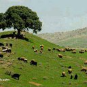 ميرغني منصور (@0927473073) Twitter