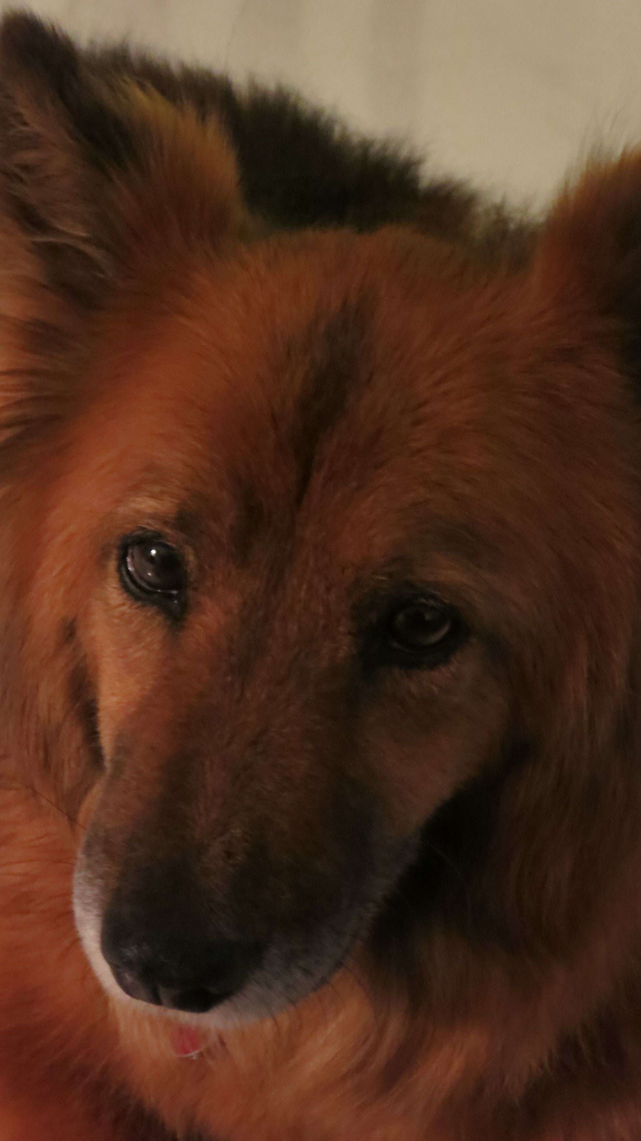 TetherballTitan's profile picture. Tetherball champ, Attorney