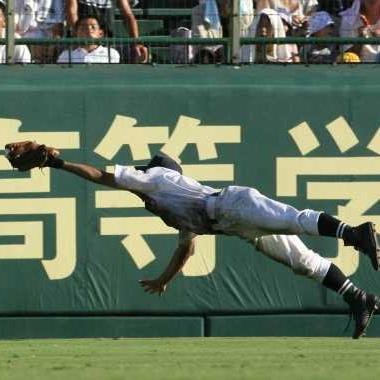 kota_hand's profile picture. 拾い画。誰でもフォローしてなー