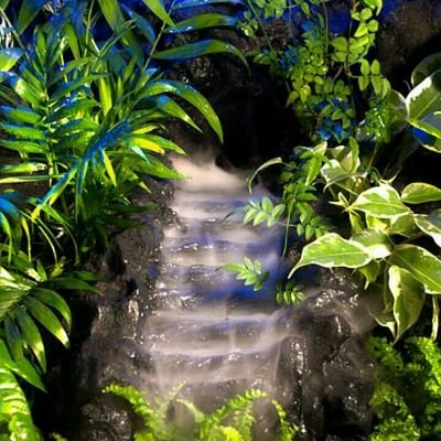 lecobradu21's profile picture. 