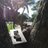 kopiketjiljogja's profile image