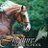 Cheshireriding's profile image