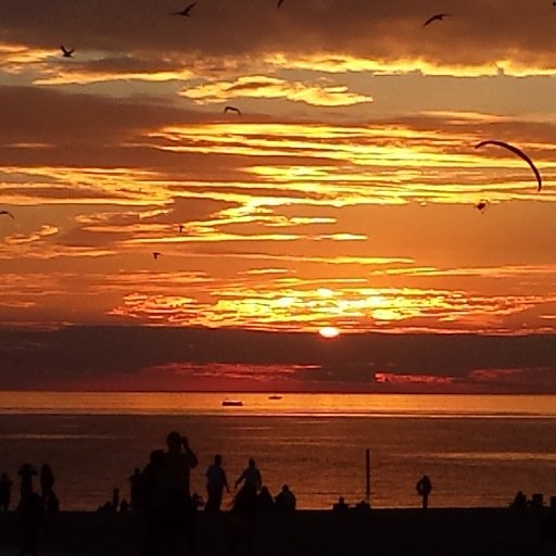 rhriggle's profile picture. 