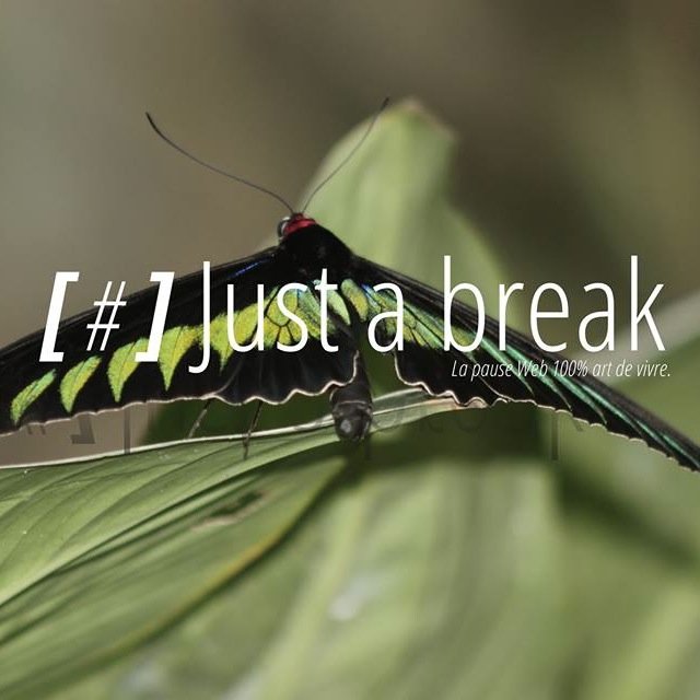 _justabreak Profile Picture