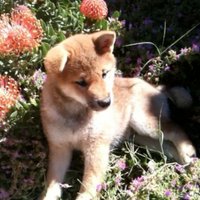 Elle_ (@ca_elle) 's Twitter Profile