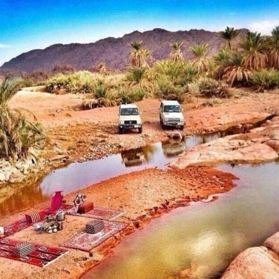 zzz82577's profile picture. 