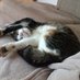 Sarah Baldwin (@sb29sb) Twitter profile photo