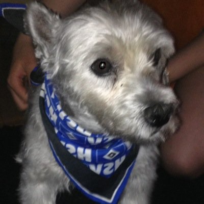 anfi208's profile picture. Anja independent consultant Scentsy