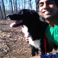 Nigel Rozario (@cheddarf3) 's Twitter Profile