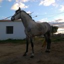 Manuel Pontes - @ManuelPontes7 - Twitter