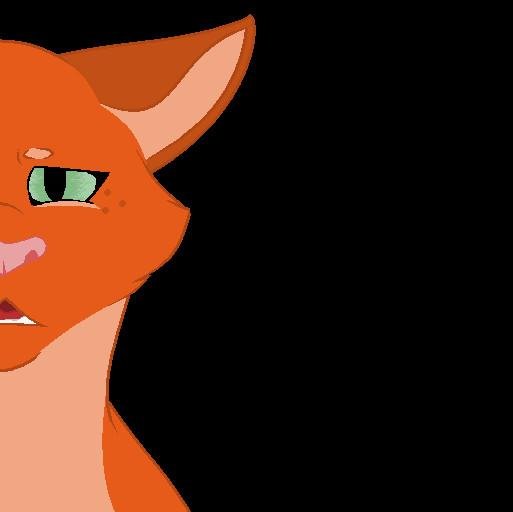 I'm just a crazy cat