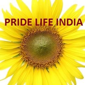 Financial Consultant | Investment Savings Life Insurance Advisor 9177985820