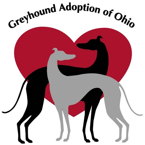GreyAdoptofOH's profile picture. Greyhound Adoption of Ohio is the largest and oldest greyhound adoption organization in the state or Ohio.