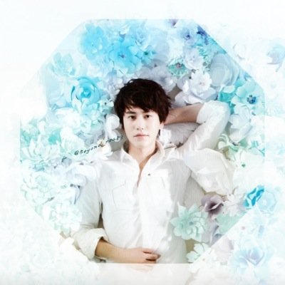 SJ.kyuhyun bot.. START↪︎2014.03.20✴︎ ※博愛主義 all対応/夜行性