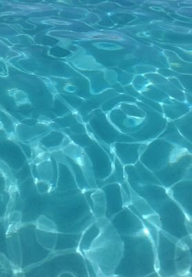 chi_zia's profile picture. 