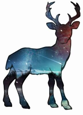 SadovaySveta's profile picture. 