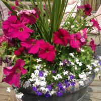 Debbie Ryder (@debryder6) Twitter profile photo