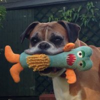 Simon Worthington (@simonwor) 's Twitter Profile