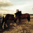 Hannah Drury - @HannahDrury2 - Twitter