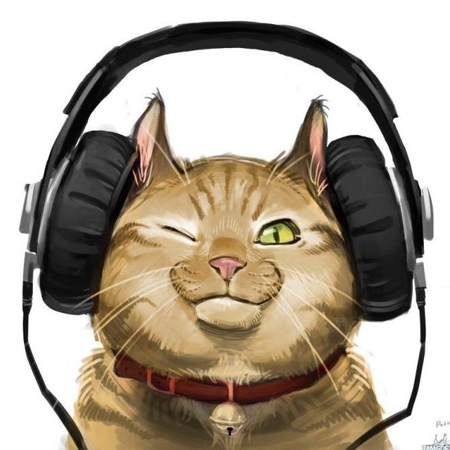 DarkingGm's profile picture. 