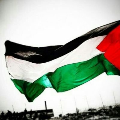 #FreePalestine