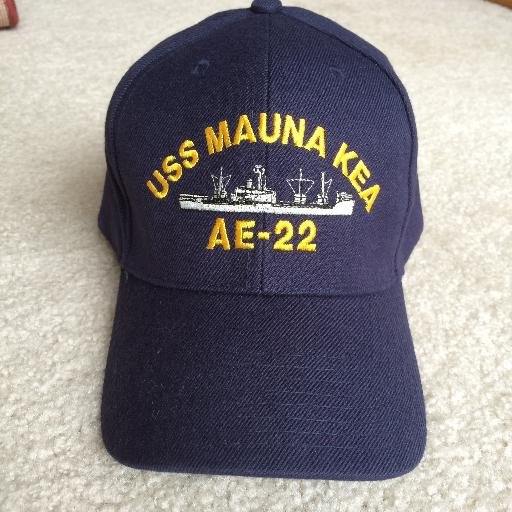 Born 1936 . USN 1958-61 USS Mauna Kea AE-22. Conservative, patriot. Happily retired.    Handsome, smart, INTJ.  Portland Thorns fan.