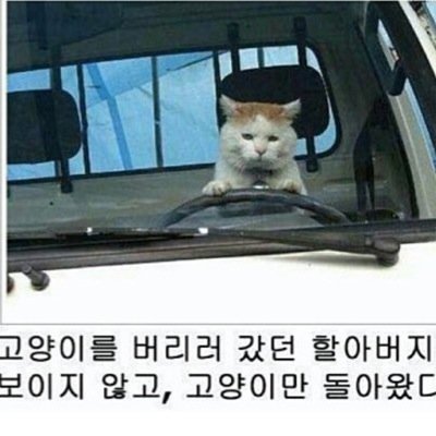 디자인. 인쇄. 광고.출판. 패키지 등등 진정 나까마™ 책만들고 싶은분들 연락주세요!!정식출판(isbn)해드림^^단 판권은 ??Think different !여성과아기 건강을위한 상품 판매.냥이님들 8분과 동거중.