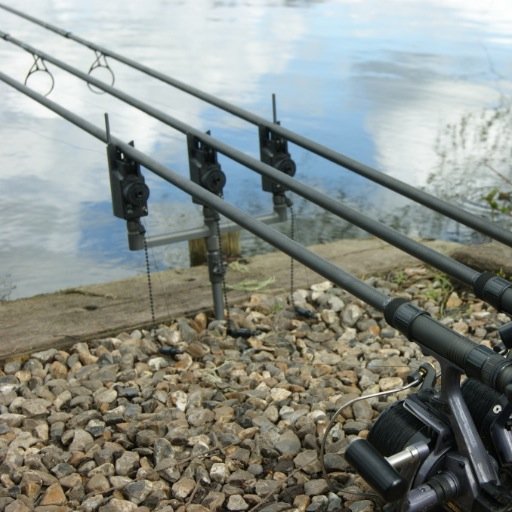 Join us Sunday's 8-9pm Anything Carp goes! #carphour