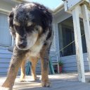 michael frace - @seqdude - Twitter