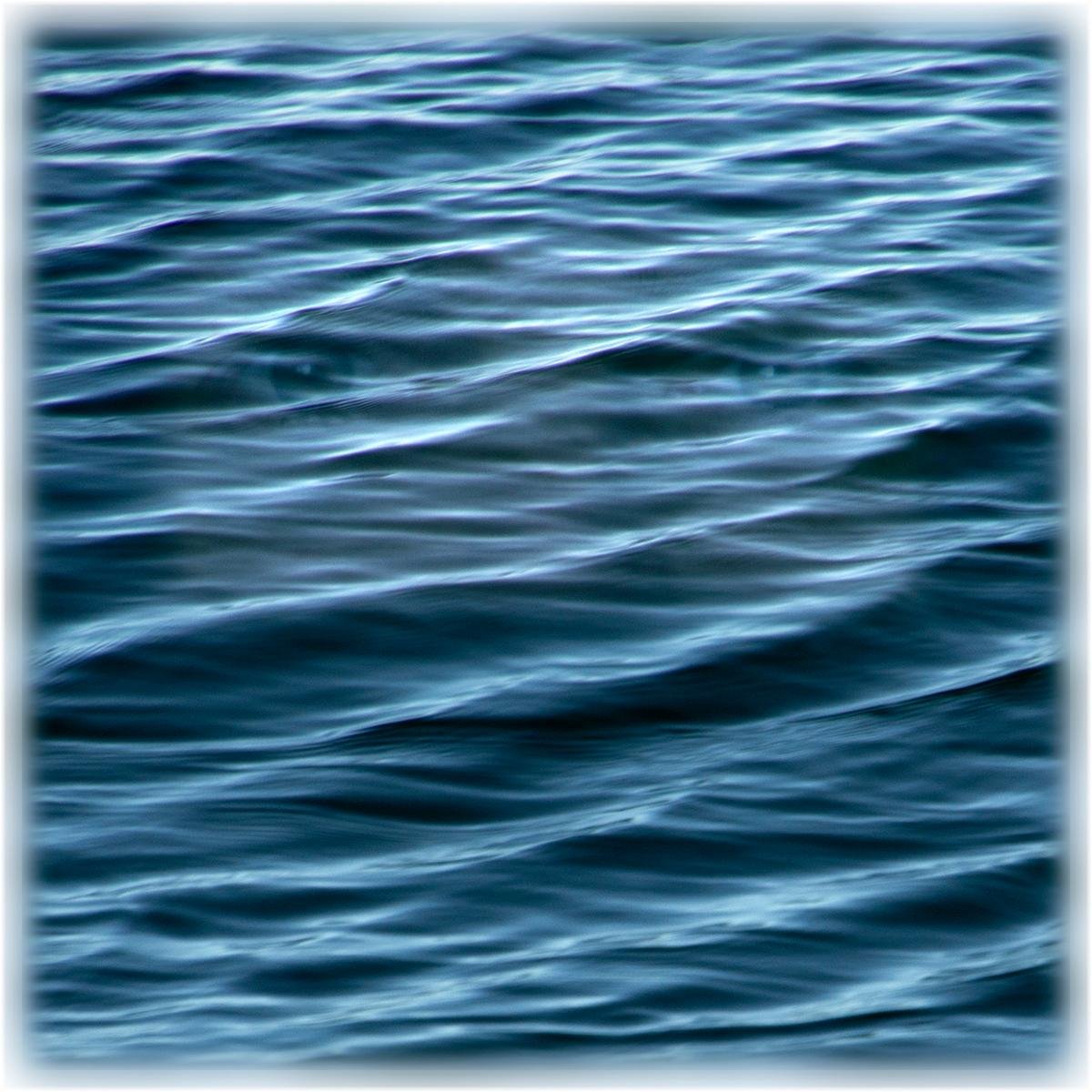 aguasonic's profile picture. We explore subtlety and nuance in biological sounds, with images made from these sounds using the AGUASONIC® process.